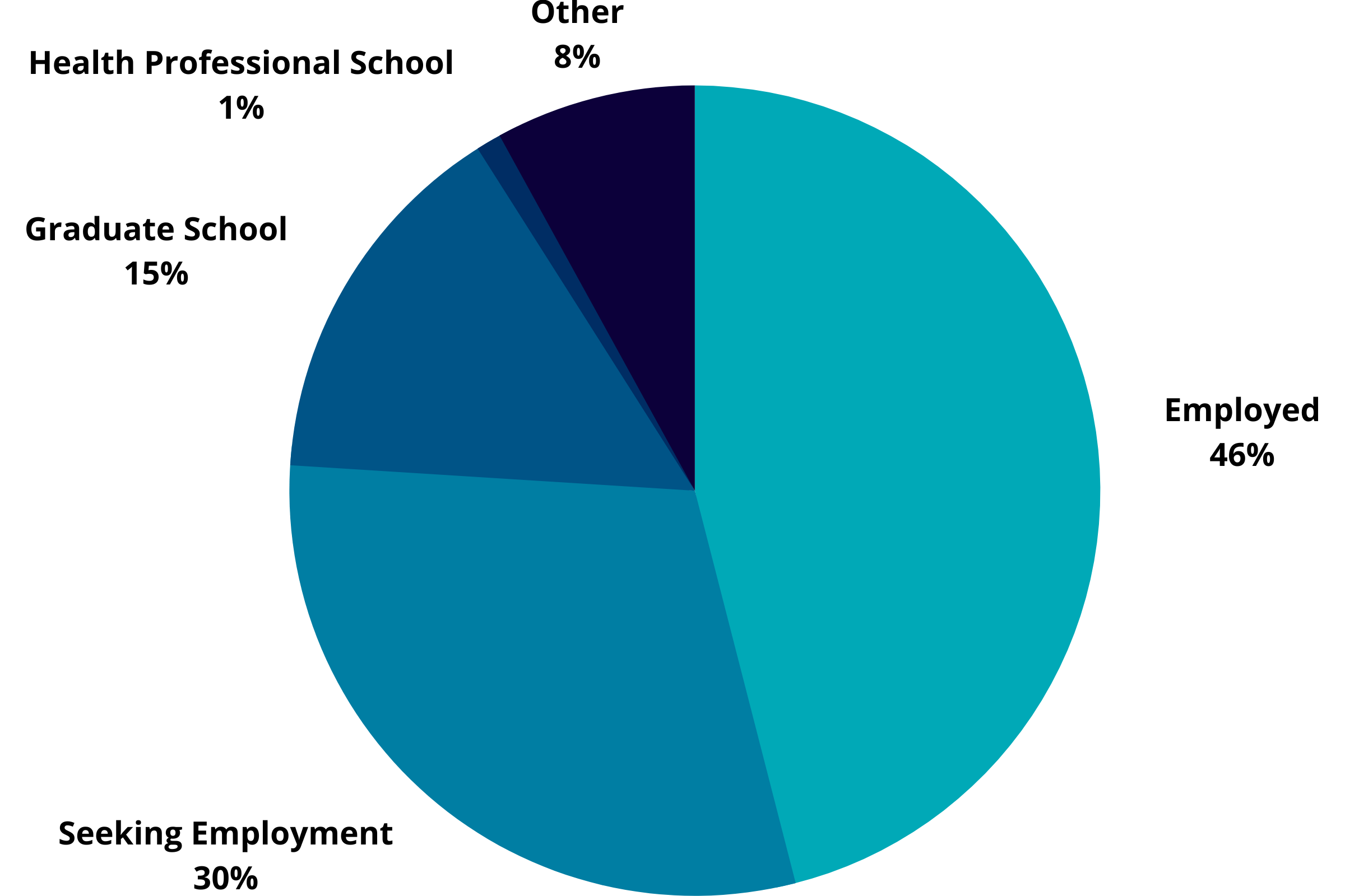Mathematics Graduation Outcomes: Employed 46%, Seeking Employment 30%, Graduate School 15%, Health Professional School 1%, Other 8%