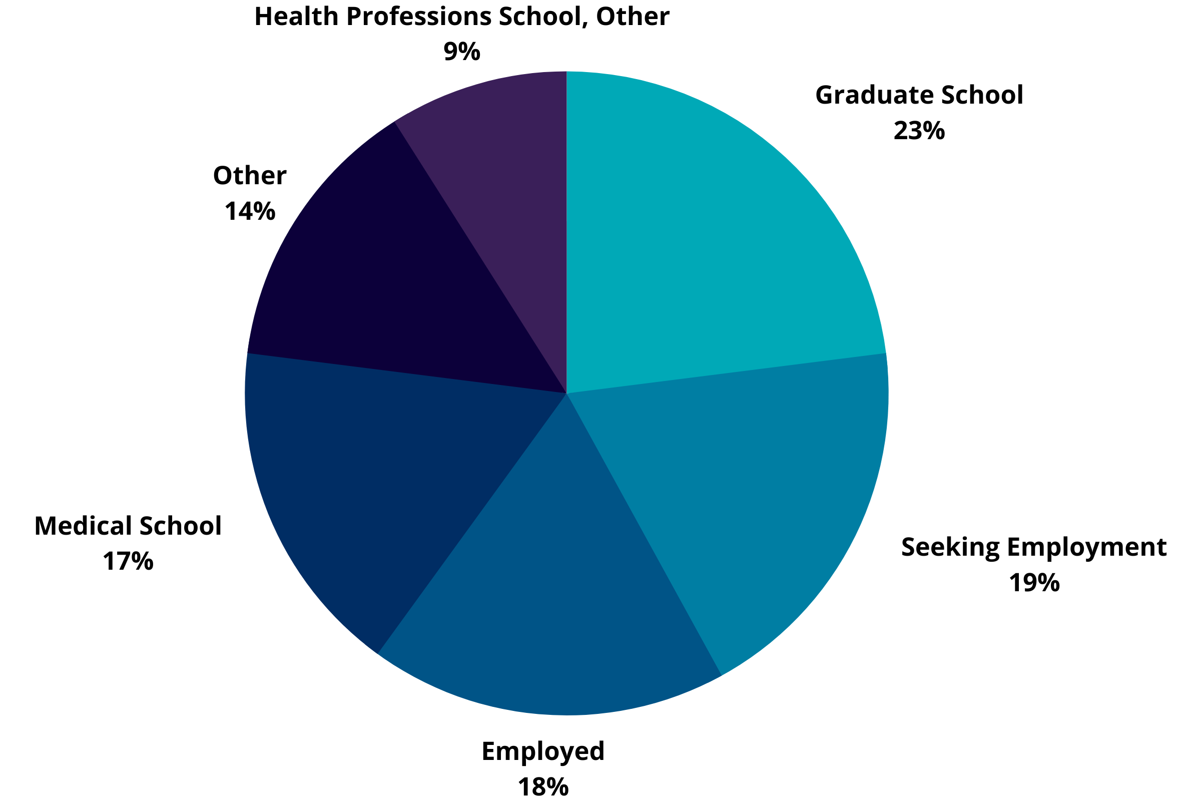 Public Health Graduation Outcomes: Graduate School 23%, Seeking Employment 19%, Employed 18%, Medical School 17%, Health Professions School 9%, Other 17%