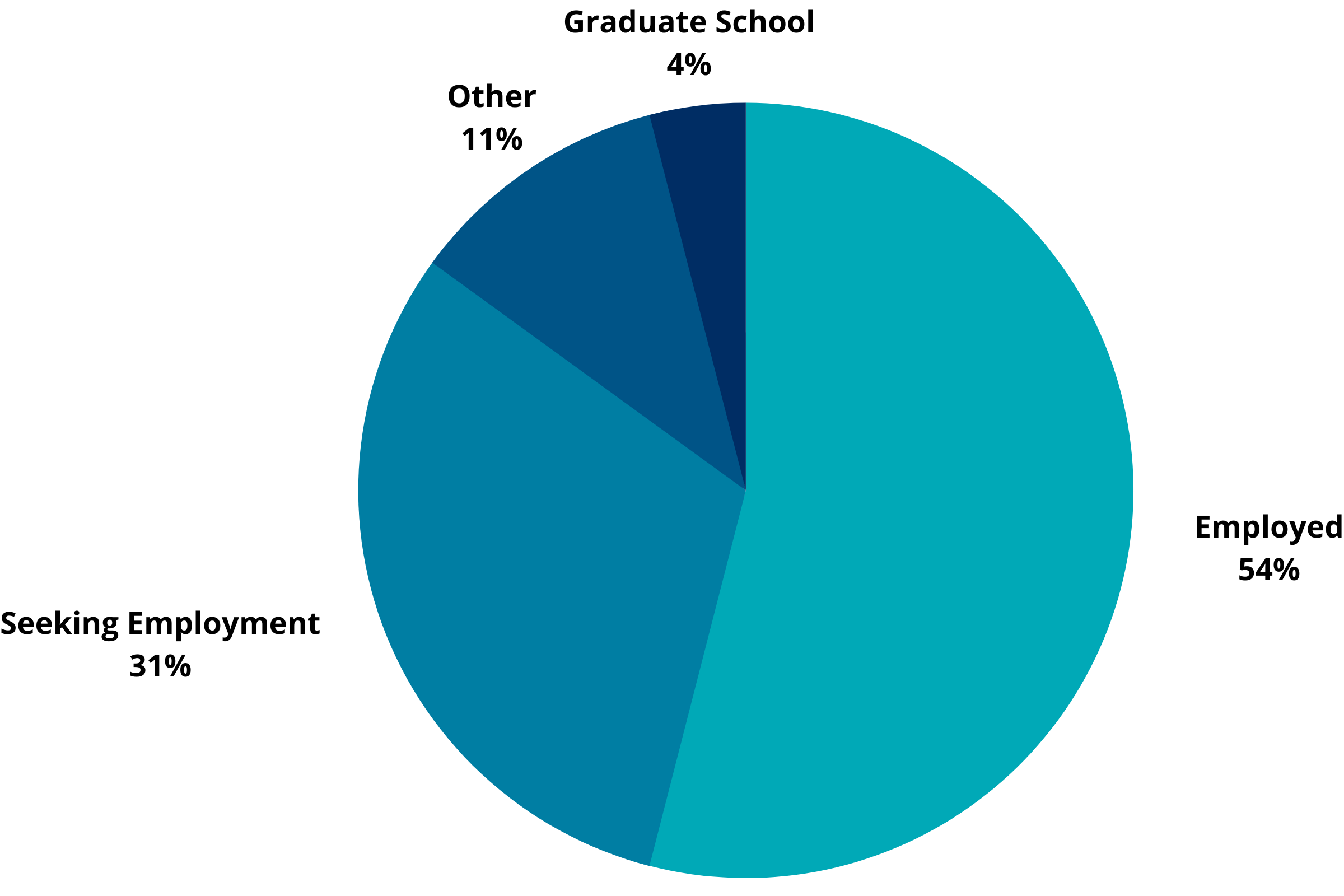 Employed 54%, Seeking employment 31%, Other 11%, Graduate School 4%